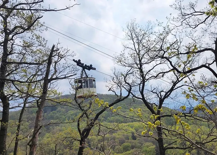 Seeblick Апартаменты *